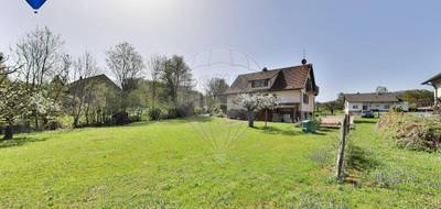 Terrain à Neuwiller en Haut-Rhin (68) de 729 m² à vendre au prix de 159000€ - 3