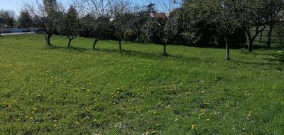 Terrain à Ploërmel en Morbihan (56) de 1174 m² à vendre au prix de 63690€ - 3