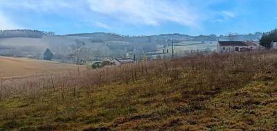 Terrain à Graulhet en Tarn (81) de 1250 m² à vendre au prix de 45000€ - 3