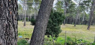 Terrain à Le Castellet en Var (83) de 200 m² à vendre au prix de 25000€ - 2