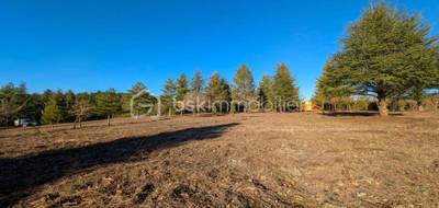 Terrain à Villanière en Aude (11) de 8009 m² à vendre au prix de 89900€ - 4