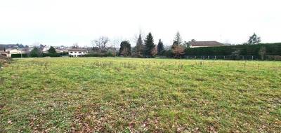 Terrain à Poncins en Loire (42) de 1650 m² à vendre au prix de 79000€ - 1