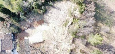 Terrain à Lorgues en Var (83) de 1614 m² à vendre au prix de 249000€ - 3