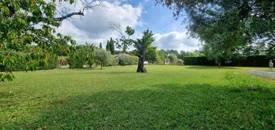 Terrain à Callian en Var (83) de 1177 m² à vendre au prix de 215000€ - 1