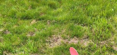 Terrain à Bobital en Côtes-d'Armor (22) de 743 m² à vendre au prix de 85200€ - 4
