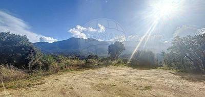 Terrain à Tavaco en Corse-du-Sud (2A) de 1751 m² à vendre au prix de 199000€ - 4