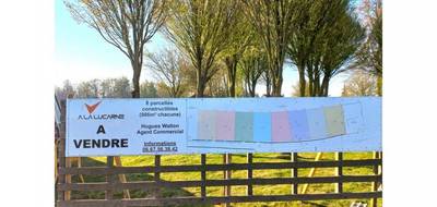 Terrain à Ruisseauville en Pas-de-Calais (62) de 986 m² à vendre au prix de 23720€ - 1