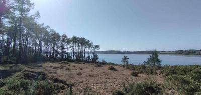 Terrain à Vannes en Morbihan (56) de 346 m² à vendre au prix de 295000€ - 2