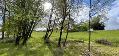 Terrain à Moissac en Tarn-et-Garonne (82) de 1166 m² à vendre au prix de 40000€ - 1