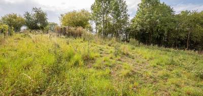 Terrain à Grosrouvres en Meurthe-et-Moselle (54) de 1193 m² à vendre au prix de 36000€ - 4