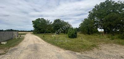 Terrain à La Chapelle-Saint-Martin-en-Plaine en Loir-et-Cher (41) de 1454 m² à vendre au prix de 46750€ - 4