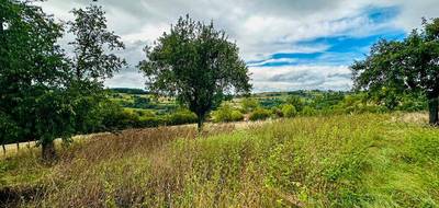 Terrain à Maizilly en Loire (42) de 4630 m² à vendre au prix de 87640€ - 2