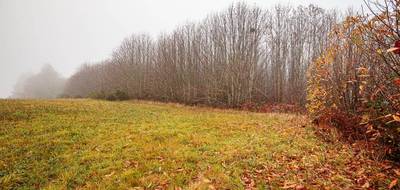 Terrain à Pageas en Haute-Vienne (87) de 7868 m² à vendre au prix de 55000€ - 1