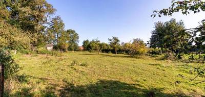 Terrain à Abbeville en Somme (80) de 908 m² à vendre au prix de 35000€ - 1