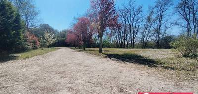 Terrain à Saubens en Haute-Garonne (31) de 680 m² à vendre au prix de 168000€ - 1