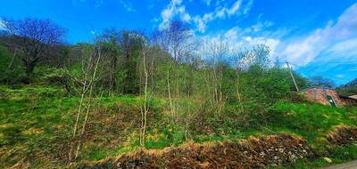 Terrain à Linthal en Haut-Rhin (68) de 1050 m² à vendre au prix de 80000€ - 2