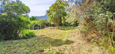Terrain à Cuttoli-Corticchiato en Corse-du-Sud (2A) de 2862 m² à vendre au prix de 230000€ - 4