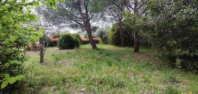 Terrain à Roujan en Hérault (34) de 728 m² à vendre au prix de 131000€ - 2