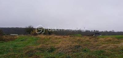 Terrain à La Ferrière en Indre-et-Loire (37) de 2600 m² à vendre au prix de 64900€ - 2