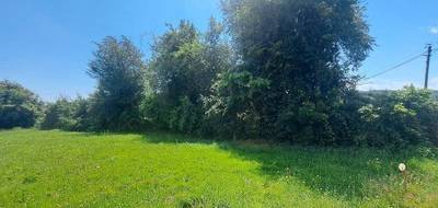 Terrain à Saint-Lézer en Hautes-Pyrénées (65) de 2559 m² à vendre au prix de 70000€ - 3