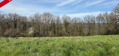 Terrain à Saint-Hilaire-Peyroux en Corrèze (19) de 2652 m² à vendre au prix de 34000€ - 1