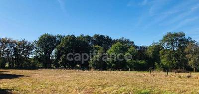 Terrain à Le Chautay en Cher (18) de 9346 m² à vendre au prix de 88000€ - 1