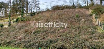 Terrain à Cloyes-les-Trois-Rivières en Eure-et-Loir (28) de 1008 m² à vendre au prix de 16500€ - 4