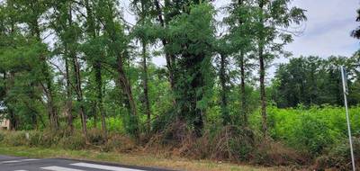 Terrain à Saint-Denis-de-Pile en Gironde (33) de 1200 m² à vendre au prix de 66000€ - 2