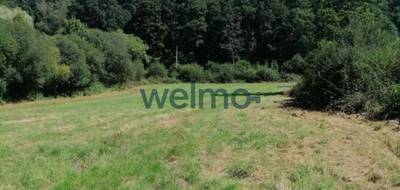 Terrain à Montluçon en Allier (03) de 4786 m² à vendre au prix de 48000€ - 1
