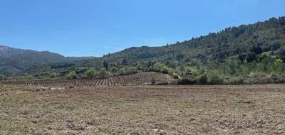 Terrain à Sigean en Aude (11) de 2499 m² à vendre au prix de 115000€ - 3