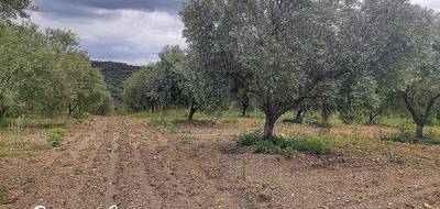 Terrain à Gabian en Hérault (34) de 8000 m² à vendre au prix de 29000€ - 2
