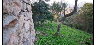 Terrain à Pierrerue en Hérault (34) de 2620 m² à vendre au prix de 65000€ - 3