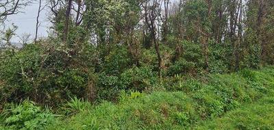 Terrain à Crozon en Finistère (29) de 498 m² à vendre au prix de 3996€ - 1