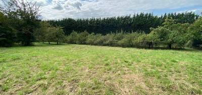 Terrain à Le Val d'Hazey en Eure (27) de 4040 m² à vendre au prix de 69000€ - 2
