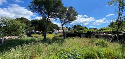 Terrain à Sète en Hérault (34) de 1000 m² à vendre au prix de 890000€ - 1