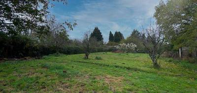 Terrain à Saint-Laurent-les-Églises en Haute-Vienne (87) de 1093 m² à vendre au prix de 30000€ - 3