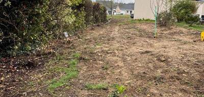 Terrain à Rives-du-Loir-en-Anjou en Maine-et-Loire (49) de 641 m² à vendre au prix de 96600€ - 3