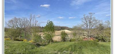 Terrain à Montgey en Tarn (81) de 6519 m² à vendre au prix de 79000€ - 2