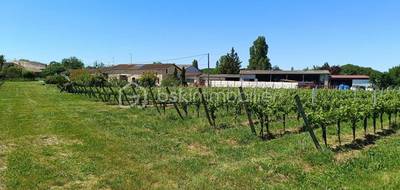 Terrain à Mazion en Gironde (33) de 237900 m² à vendre au prix de 211000€ - 2