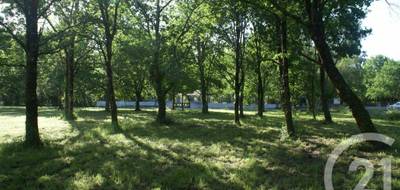Terrain à Saint-Vivien-de-Médoc en Gironde (33) de 3960 m² à vendre au prix de 80000€ - 3