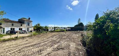 Terrain à La Lande-de-Fronsac en Gironde (33) de 240 m² à vendre au prix de 54990€ - 2