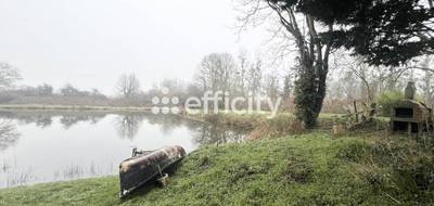 Terrain à Avrillé-les-Ponceaux en Indre-et-Loire (37) de 7305 m² à vendre au prix de 55000€ - 2