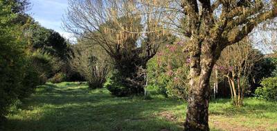 Terrain à Talais en Gironde (33) de 1000 m² à vendre au prix de 76000€ - 1