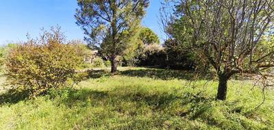Terrain à Mazan en Vaucluse (84) de 1285 m² à vendre au prix de 169900€ - 2