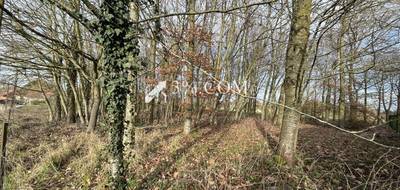 Terrain à Vendhuile en Aisne (02) de 2611 m² à vendre au prix de 26000€ - 4