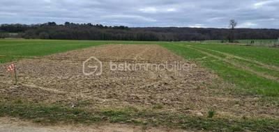 Terrain à Torfou en Essonne (91) de 1084 m² à vendre au prix de 125000€ - 4