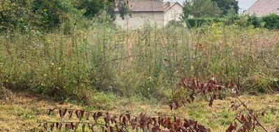 Terrain à Lessard-en-Bresse en Saône-et-Loire (71) de 1684 m² à vendre au prix de 44500€ - 3