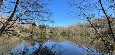 Terrain à Chamboret en Haute-Vienne (87) de 24268 m² à vendre au prix de 66000€ - 4