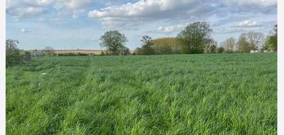 Terrain à Longueval en Somme (80) de 1750 m² à vendre au prix de 33500€ - 2