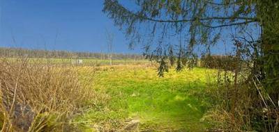 Terrain à La Neuville-aux-Joûtes en Ardennes (08) de 2064 m² à vendre au prix de 28990€ - 4